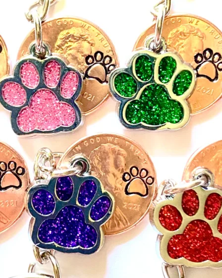 Pet's Paw Prints Keychains